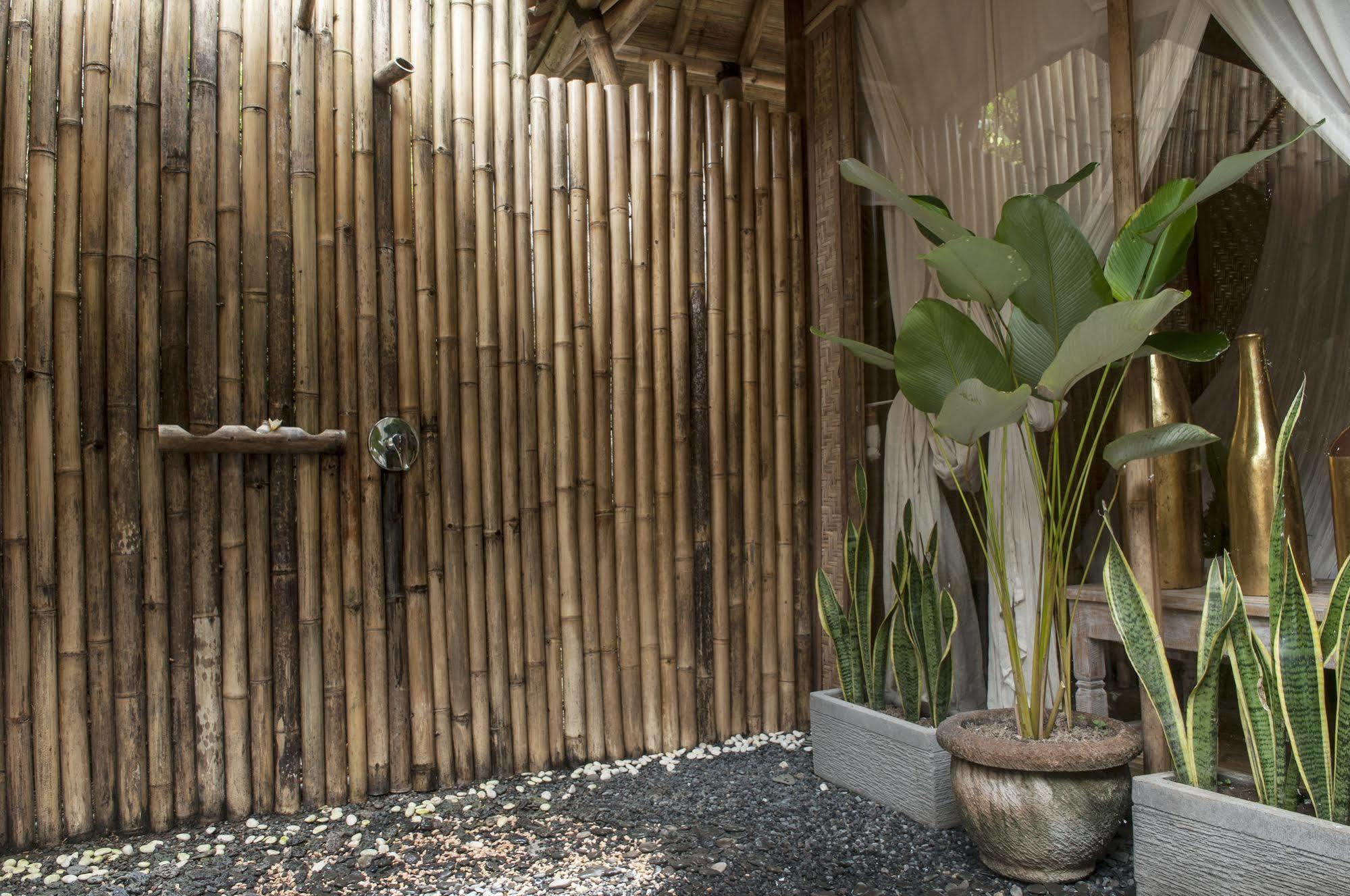 Ubud Jungle Holy Water Exterior foto